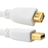 Cablesson 2 Meter / 2M Mini DisplayPort Extension Cable - Male to Female Thunderbolt Connection (for Apple Mac, Apple LED Cinema Display, etc) 1080p